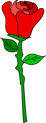 16228-illustration-of-a-red-rose-pv[1].png